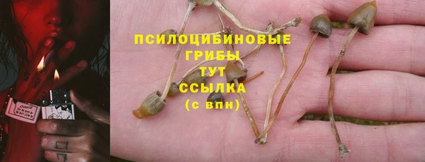 герыч Няндома