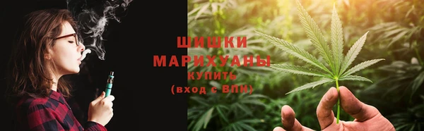 сатива Осинники