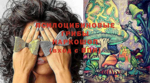 герыч Няндома