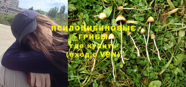 герыч Няндома