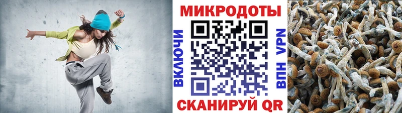Псилоцибиновые грибы прущие грибы  Нягань 